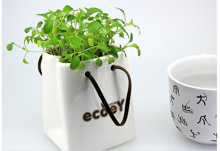 新品 陶瓷纸袋植物心形草套装 创意礼品迷你桌面盆栽