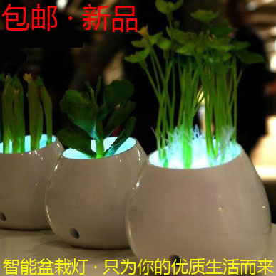 包邮 阿凡达蘑菇灯节能光控led小夜灯墙壁盆栽智能lyl绿植小台灯