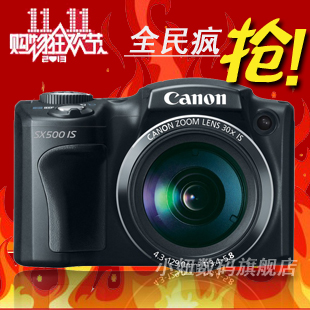 长焦王正品特价Canon/佳能 PowerShot SX500 IS数码相机 SX510 HS