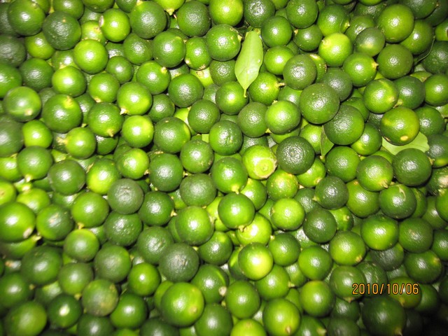 新鲜水果 越南青桔 青金桔 冰桔茶 5元/斤