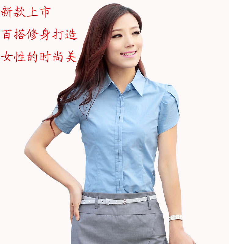 2013韩版女装秋季新款修身荷叶袖潮流职业朵以风格暗扣女衬衫衬衣