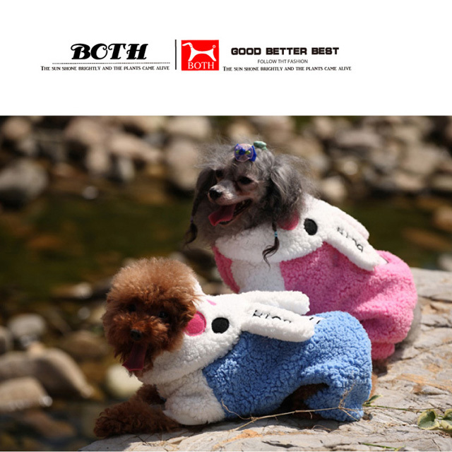 韩国BOTH宠物服装 萝莉天使兔兔