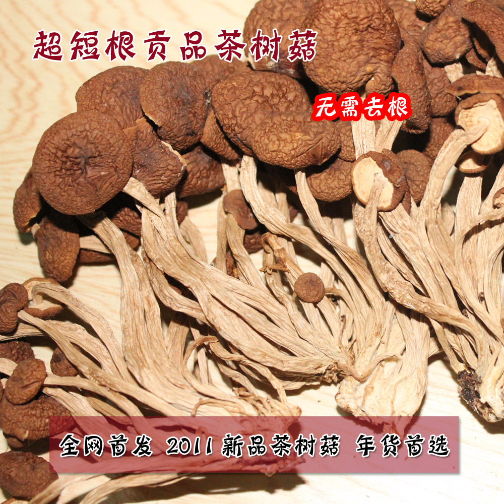 年货2012 新品种 补肾 贡品茶树菇 超短根菇多 250g
