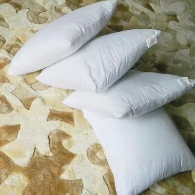 爱斯基摩人家纺 高品质靠垫芯 枕头 纯棉纤维抱枕 特价 原装