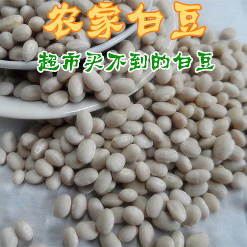 2014新农家自种优质小白豆 白芸豆白腰豆 稀有有机五谷杂粮白豆