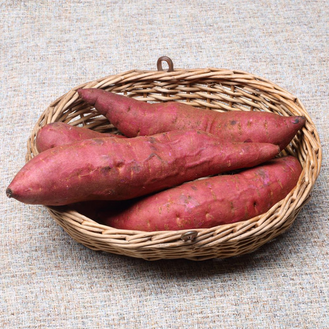 板栗风味 紫皮金薯 超优新品种 蕃薯 软糯香甜红薯 10斤净重包邮