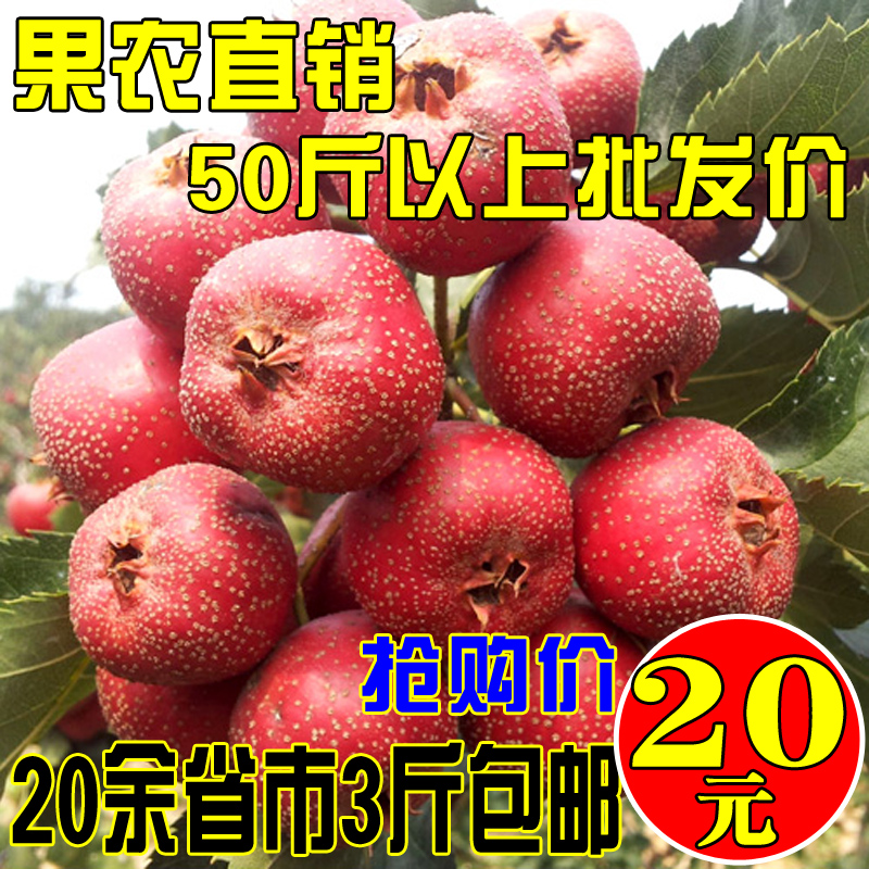 农家山地自种山楂红果 新鲜水果山里红 冰糖葫芦原料 3斤包邮