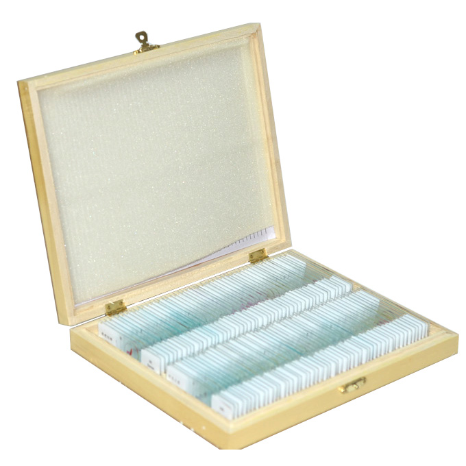 出口品质200片实验标本玻璃玻片中英文标签高档木盒装 显微镜配件