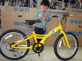 新款 捷安特 自行车 儿童车 YJ251 20寸童车