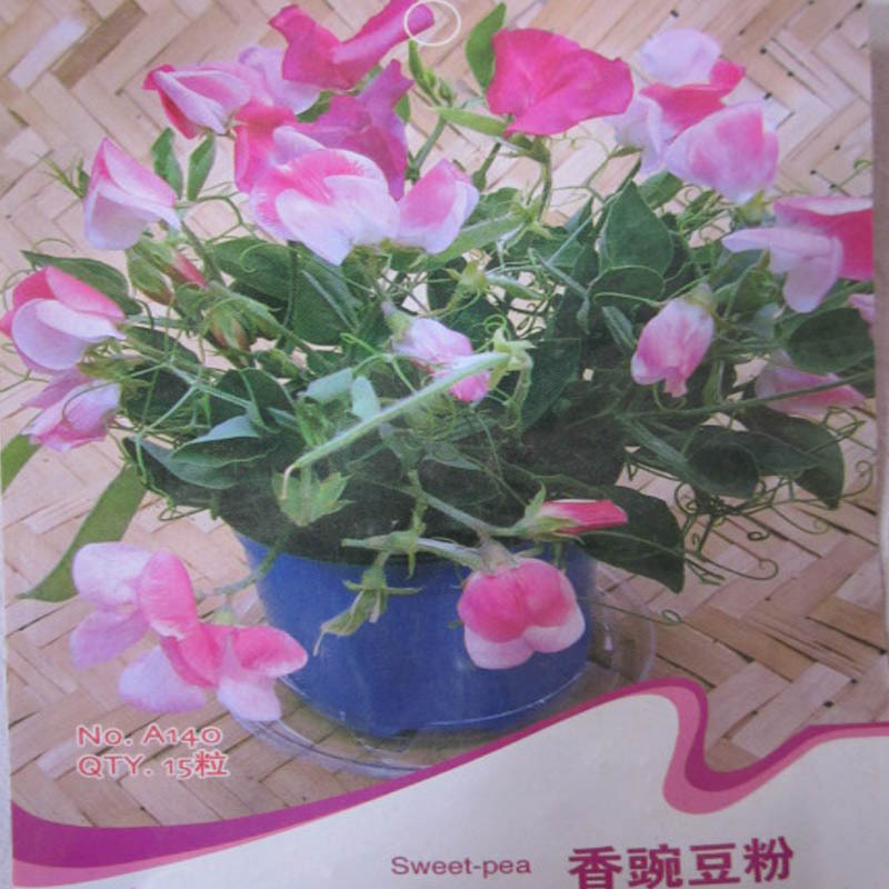 花卉种子 香豌豆粉 可食用花草袋装彩包种子 花卉种子约15粒