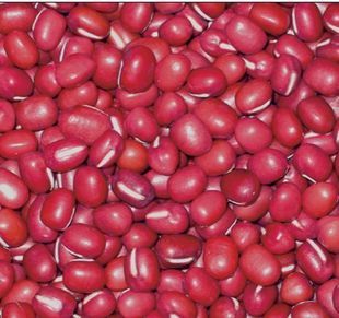 赤豆 农家自产红豆 赤小豆 红小豆 绿色农产品500g 养颜补血