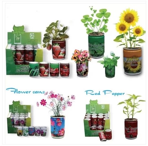 小花农罐头花系列创意迷你植物花卉种子办公室阳台种植盆栽易拉罐