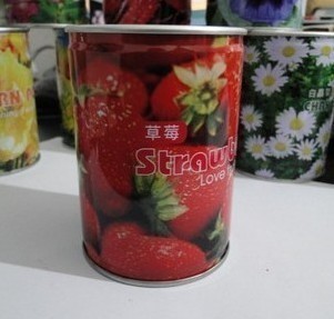 包邮易拉罐装香草种子迷你植物草莓种子罐装植物春满堂花卉