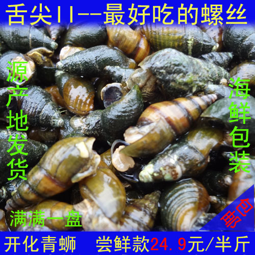 舌尖上的中国2美食 开化青蛳 清水螺蛳青丝清丝清蛳青螺 尝鲜250g