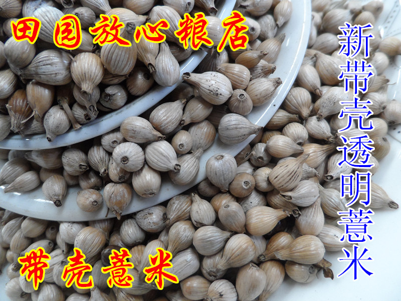 2015年新带壳薏中药材  草珠子  种子  枕头芯原料    薏米 500克