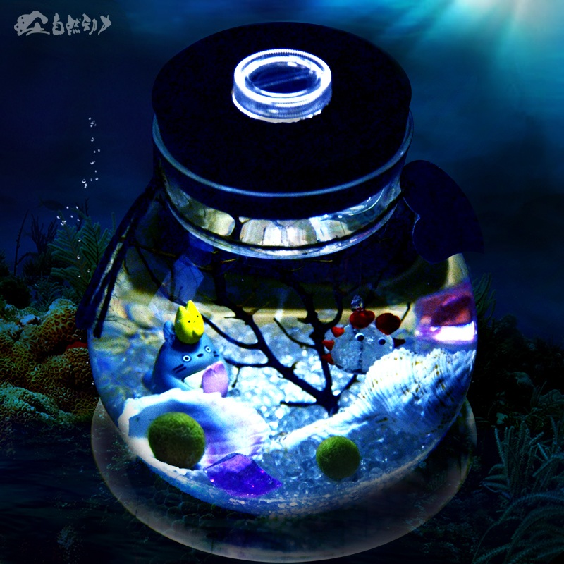 正品marimo宝宝幸福海藻球 创意迷你带灯生态瓶微景观女生日礼物