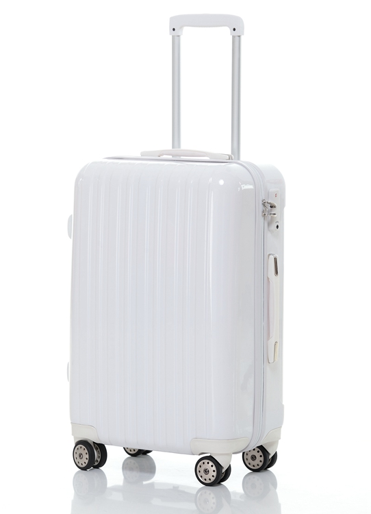 斑马纹拉杆箱万向轮超轻旅行箱登机学生行李箱包邮20寸豹纹登机箱