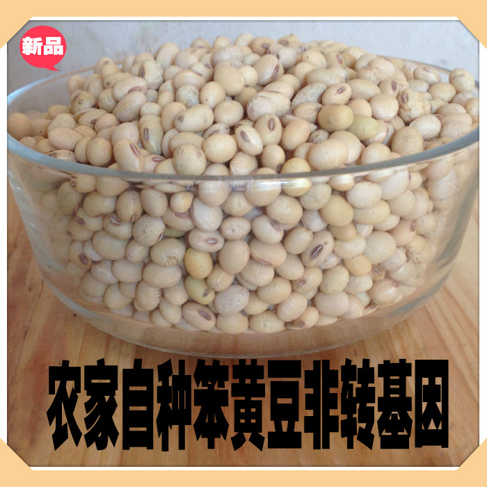 农家自种小黄豆有机大豆绝非转基因豆芽豆浆专用豆满30斤包邮500g