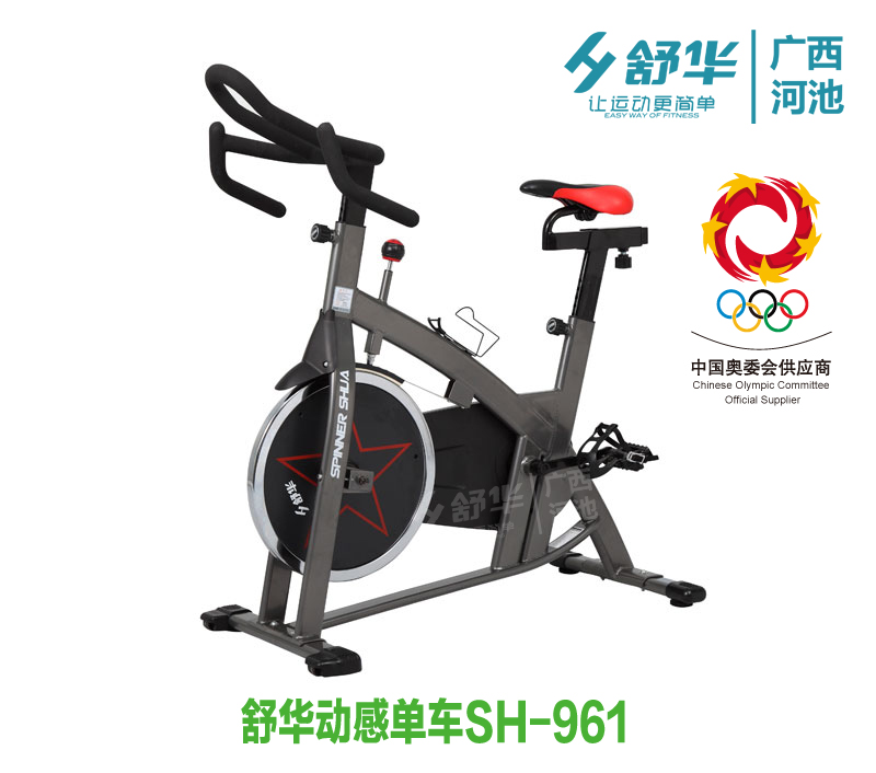 舒华动感单车 SH-961动感单车超静音家用健身器材脚踏室内健身车
