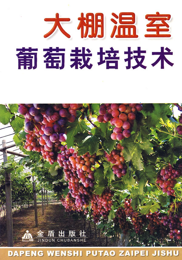 农科天地之大棚种植葡萄