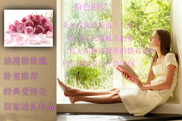 C浪漫粉红玫瑰 时尚花卉装饰画 壁画 无框画挂钟配电箱 卧室单幅