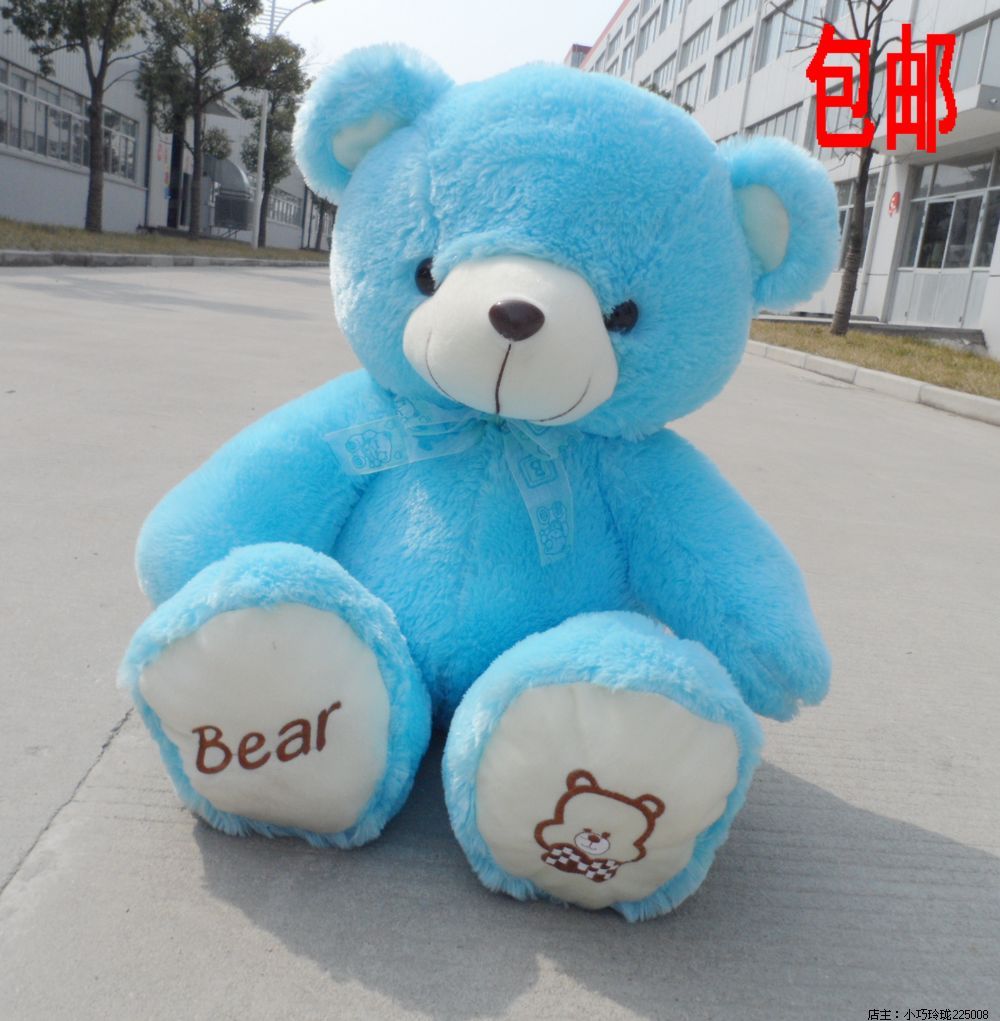 毛绒玩具熊抱抱熊泰迪熊公仔布娃娃粉色蓝色 儿童女友生日礼物