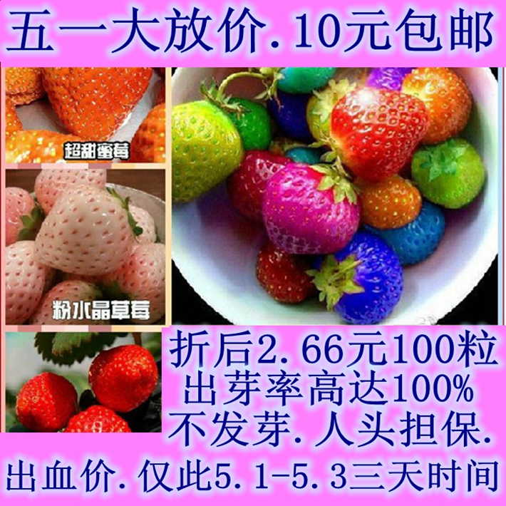 批发免邮100粒四季草莓种子 红白黑蓝盆栽草莓种子 水果蔬菜种子