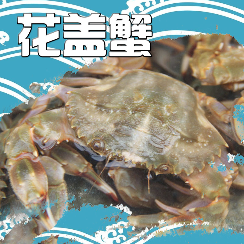 双11盛典 散装鲜活水产雌雄对大连特产顶盖肥大花盖蟹海螃蟹保温