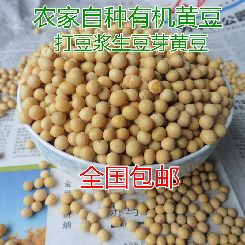 优质黄豆250gx3袋农家自种非转基因大豆生豆芽打豆浆有机小黄豆
