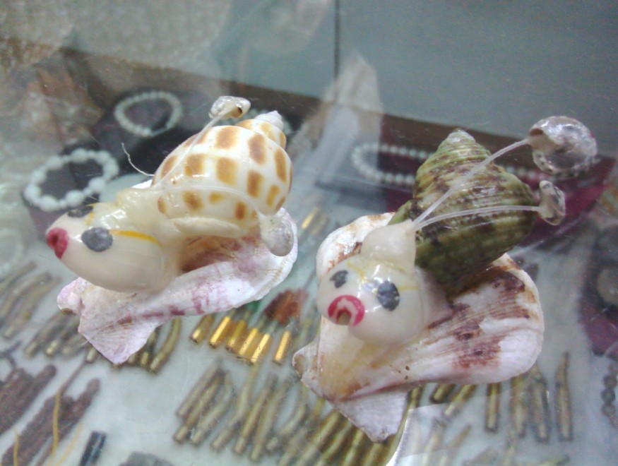 摆件家居饰品创意小蜗牛 海南海螺贝壳动物工艺品批发 地摊创业