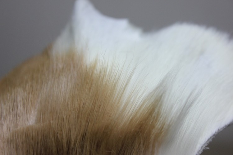进口跳羚羊springbok皮毛一体小料DIY手工皮料稀有动物真毛皮