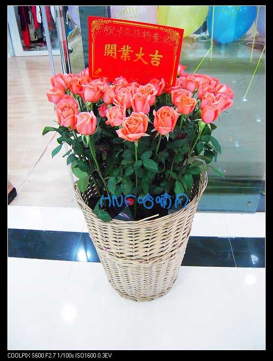 L06 福州鲜花速递 品牌老店花神花艺 60朵红玫瑰/粉玫瑰开业桶篮
