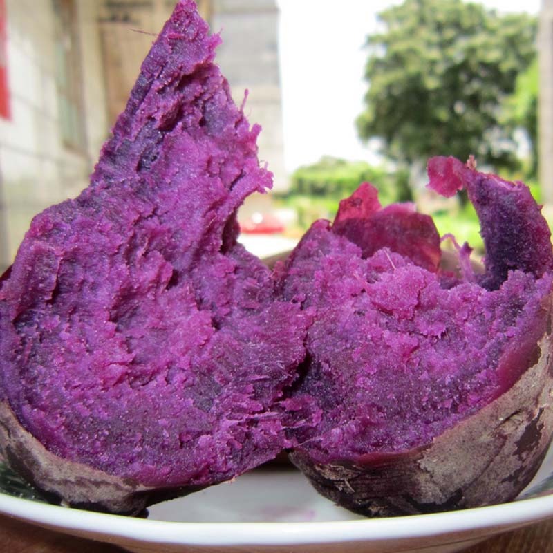 紫薯新鲜哪里买卖比较好的 紫薯新鲜免邮价格