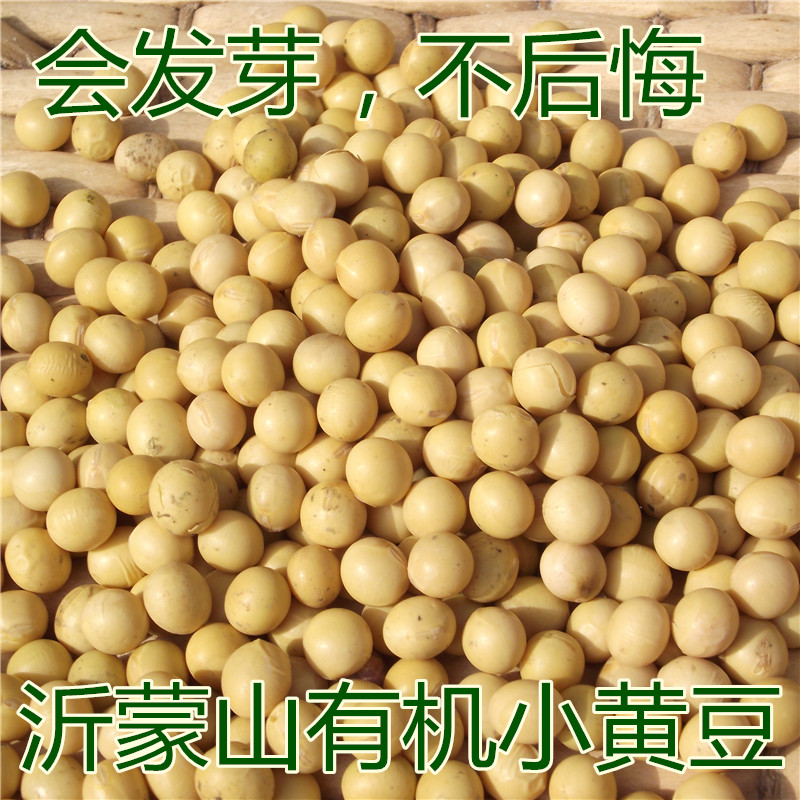 沂蒙山山区 黄豆 非转基因 农家自种 小黄豆 豆浆 发芽 专用