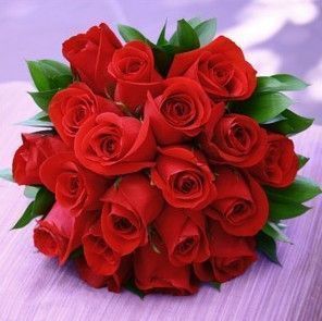 完美咏叹调新娘手捧鲜花婚庆19朵红玫瑰花爱情鲜花预订
