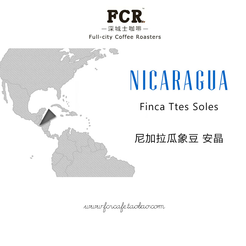 FCR尼加拉瓜象豆纯咖啡豆227g原装进口烘焙现磨黑咖啡粉包邮