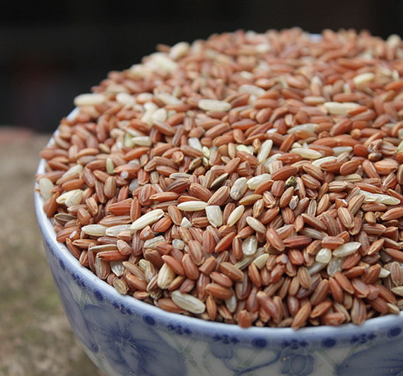 云南农家老品种红米500g 带胚芽红糙米可发芽 红曲米补血杂粮粗粮