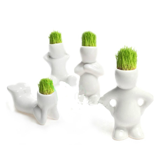 小白人草娃娃淘气郎青草种植迷你植物创意绿植长草娃娃草头娃娃