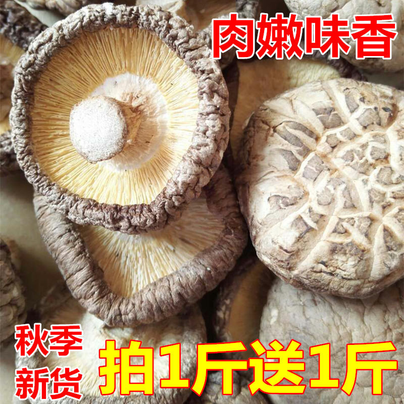 【买1送1】2015新货香菇干货农家香菇特级冬菇蘑菇500g 包邮