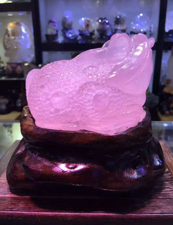 收藏大美货 纯天然莫桑比克粉晶金蟾摆件 晶体透彻 颜色粉红漂亮