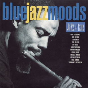 汽车CD 黑胶 -《Blue Jazz Moods》(爵士蓝调经典专辑)