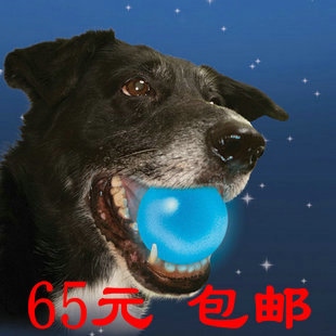 美国Nite Ize 奈爱K9、耐咬无毒橡胶球、狗狗宠物玩具、LED发光球