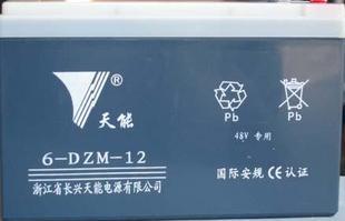 电动车电池电瓶蓄电池天能电池6-DZM-12-48v12ah电池宝电瓶修复器