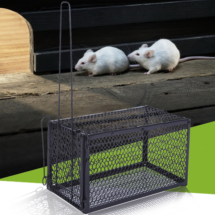老鼠笼捕鼠器全自动家用易捕大号灭鼠神器连续捕捉老鼠笼子猫助手