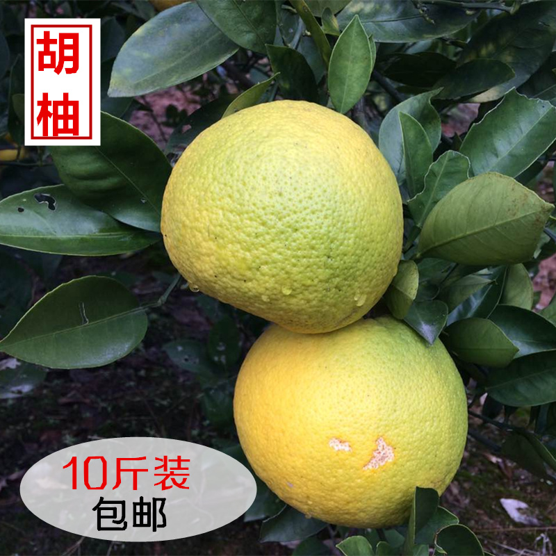 丽水特产胡柚农家自种新鲜水果正宗松阳胡柚柚子产地直发10斤包邮