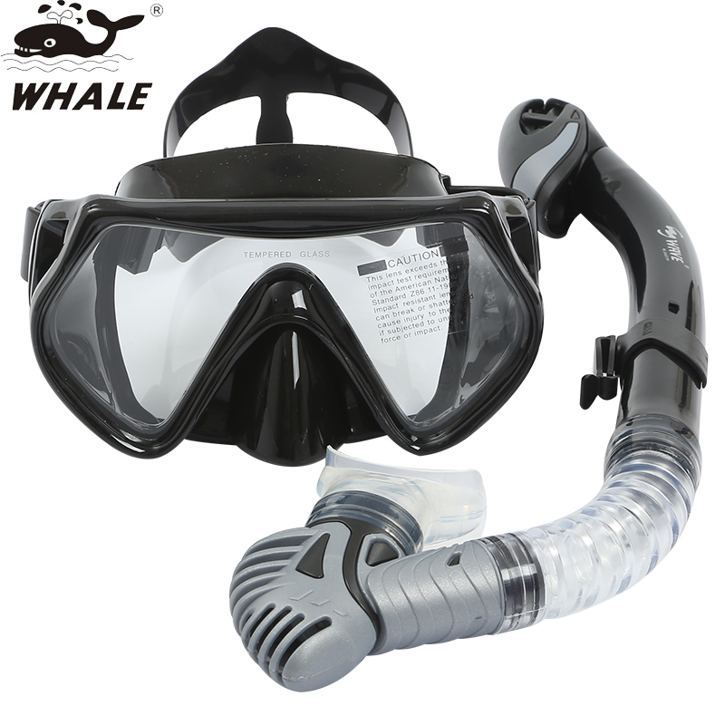 whale鲸鱼平光近视老花潜水镜面镜面罩全干式呼吸管 浮潜三宝装备