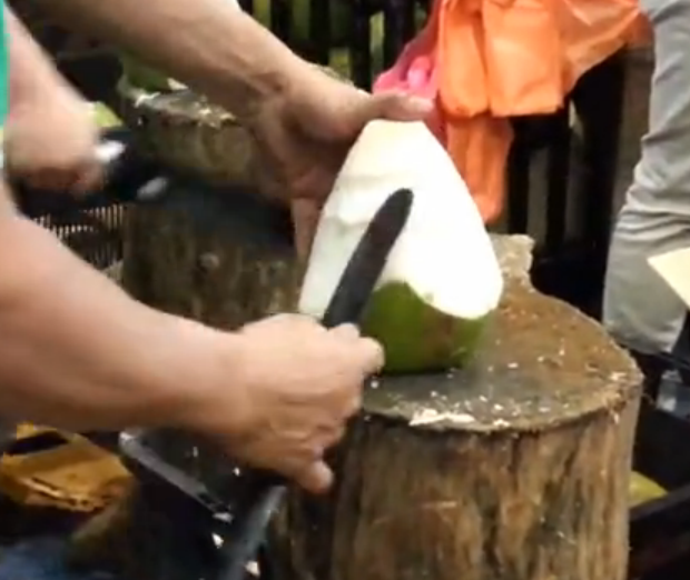 椰子专用刀 泰国椰子刀 刮肉削皮椰子软刀 牛角椰子刀白色版