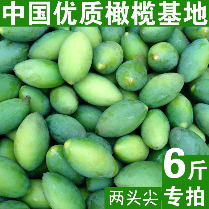 新鲜生橄榄青果 中国优质青橄榄基地 现摘现发孕妇宝宝水果6斤
