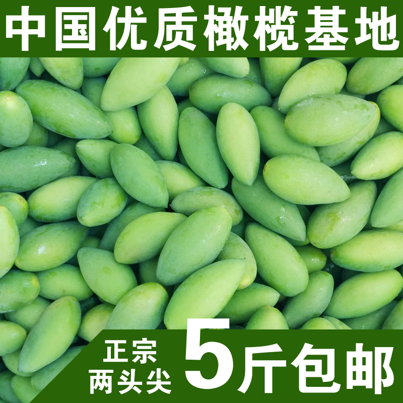 新鲜生橄榄青果 中国优质青橄榄基地 现摘现发孕妇宝宝水果500g