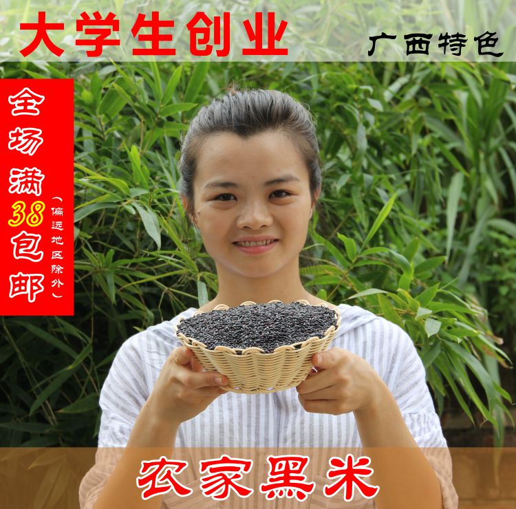 2016年晚稻广西巴马农家自产黑米五谷杂粮紫米黑大米粗粮250克